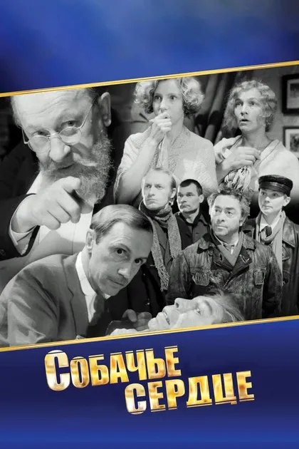 Виктор Колпаков
